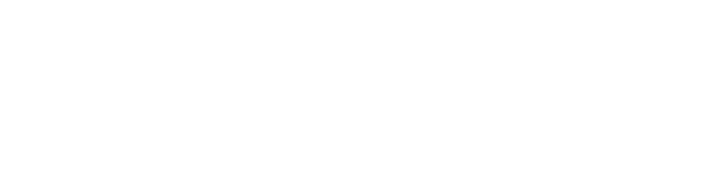 ImmoMax